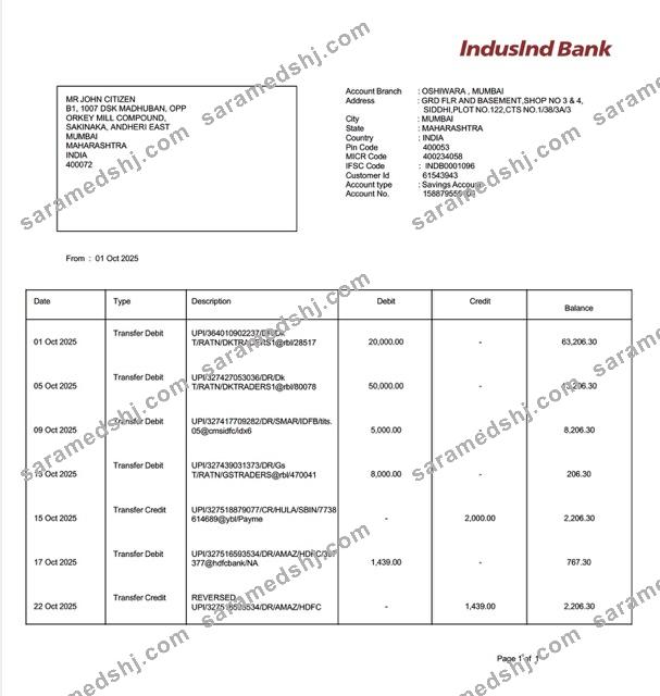 India IndusInd Bank account statement Word and PDF template